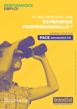 10-02_PACE-affiche-jaune