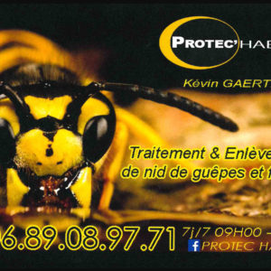 GAERTNER Kevin - Protec Habitat - Traitement et enlèvement des nids de Guêpes et frelons