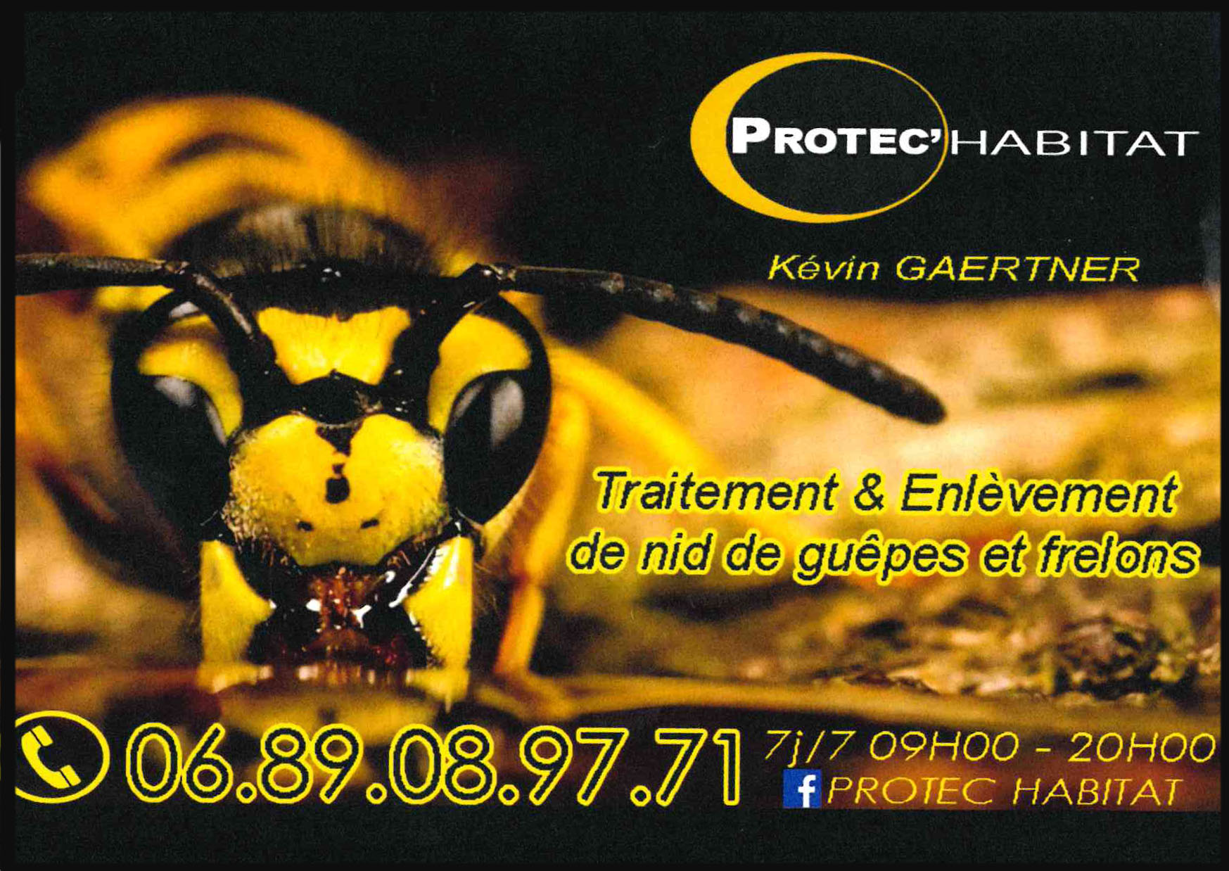 GAERTNER Kevin - Protec Habitat - Traitement et enlèvement des nids de Guêpes et frelons