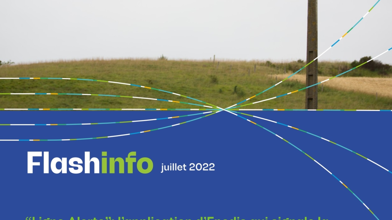 22 07 flash info Enedis - Ligne Alerte application gratuite pour signaler les lignes électriques_page-0001